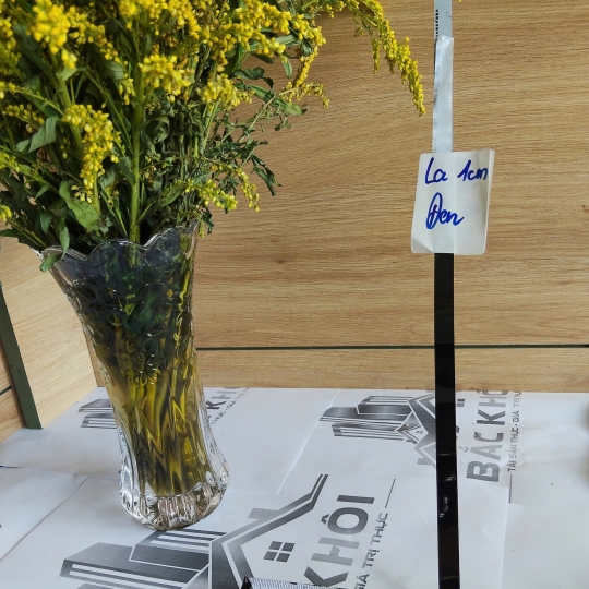 INOX LA ĐEN GƯƠNG 1CM 