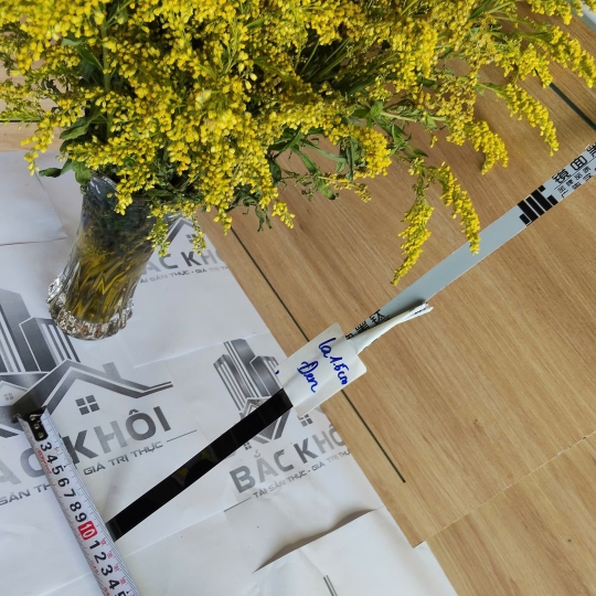 LA ĐEN GƯƠNG 1.5CM 