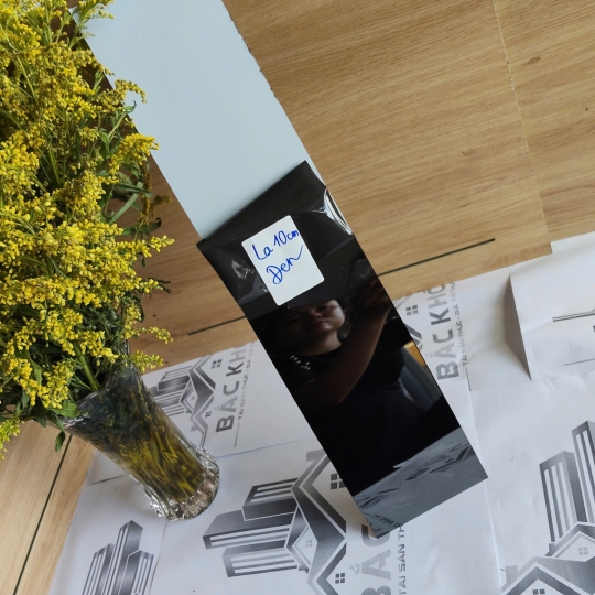 LA ĐEN GƯƠNG 10CM 